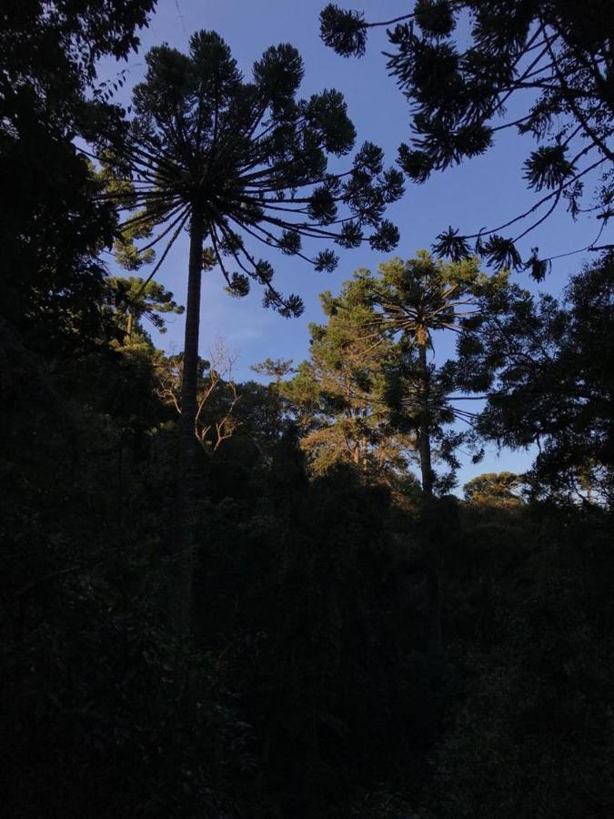 Ed Belvedere Lindo Apto Capivari 190m2 Campos do Jordão